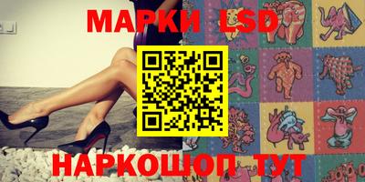 стафф Ставрополь