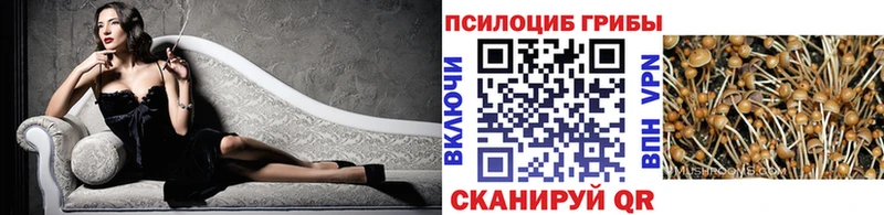 Псилоцибиновые грибы мицелий  где можно купить   Топки 