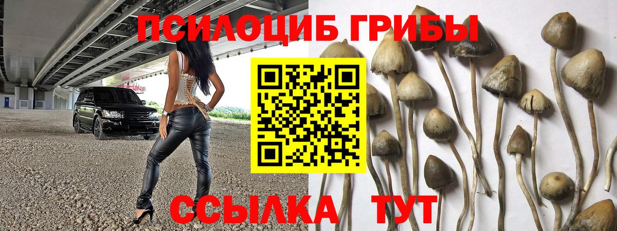 Топки  Галлюциногенные грибы Cubensis  Вход с VPN  Галлюциногенные грибы мицелий 