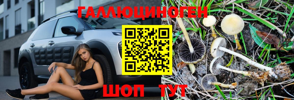 Псилоцибиновые грибы прущие грибы Топки